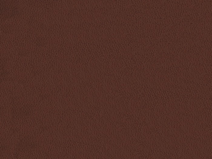 aac10546ced75d8f610e5b62d0ebee20