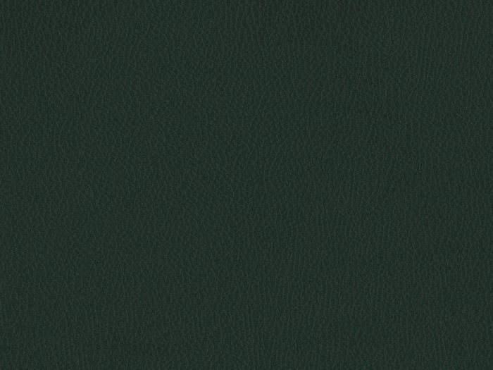 a6b49a3e15c7d1cda5ca6b8d5333c255