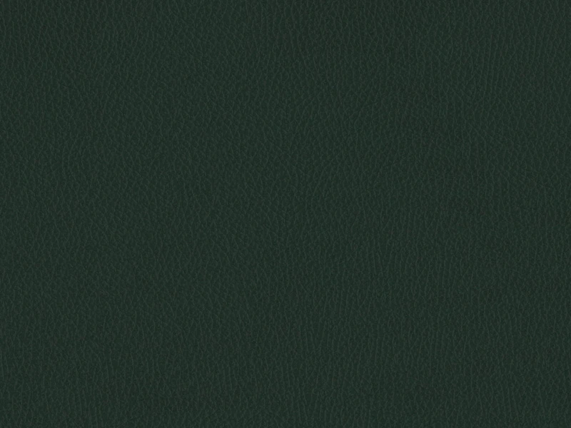 a6b49a3e15c7d1cda5ca6b8d5333c255