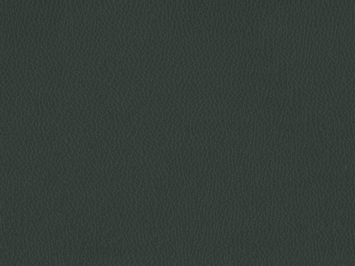 21d353f41121b4c9f2df32e7844cd909