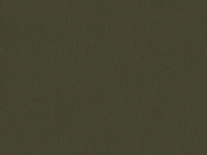 a40a217ab66a9bab23ee0b3708d5a258