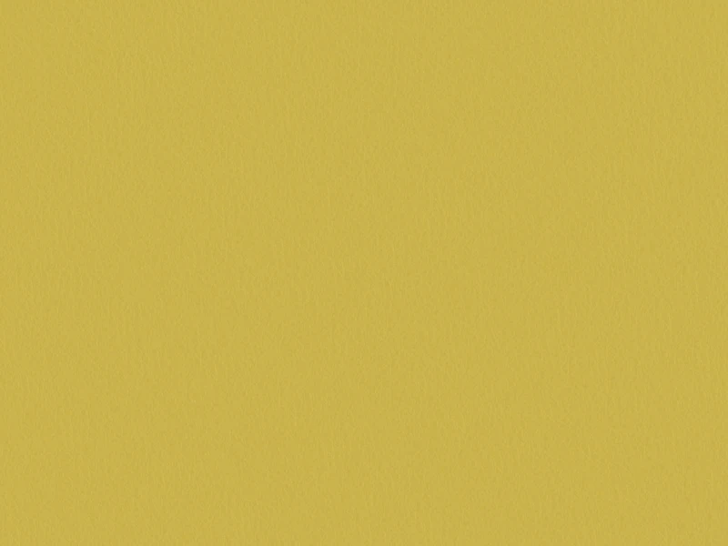 57c420cf70a04727402682fa87ceffbd