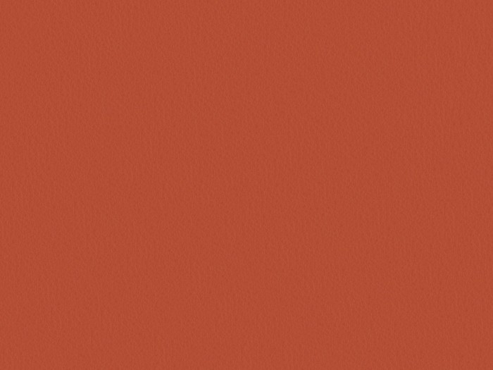 110d667ca7a4e41e3643e2a315fa1e15