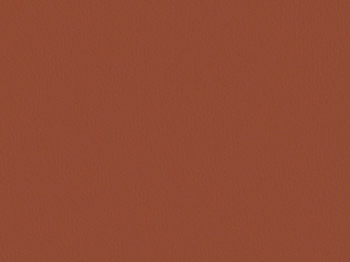 47eec1434c5a86e9f09ff05a0a4f5582