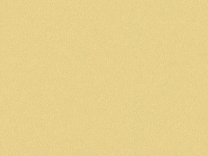 3a85bd3bb8be05e5547942984152b702