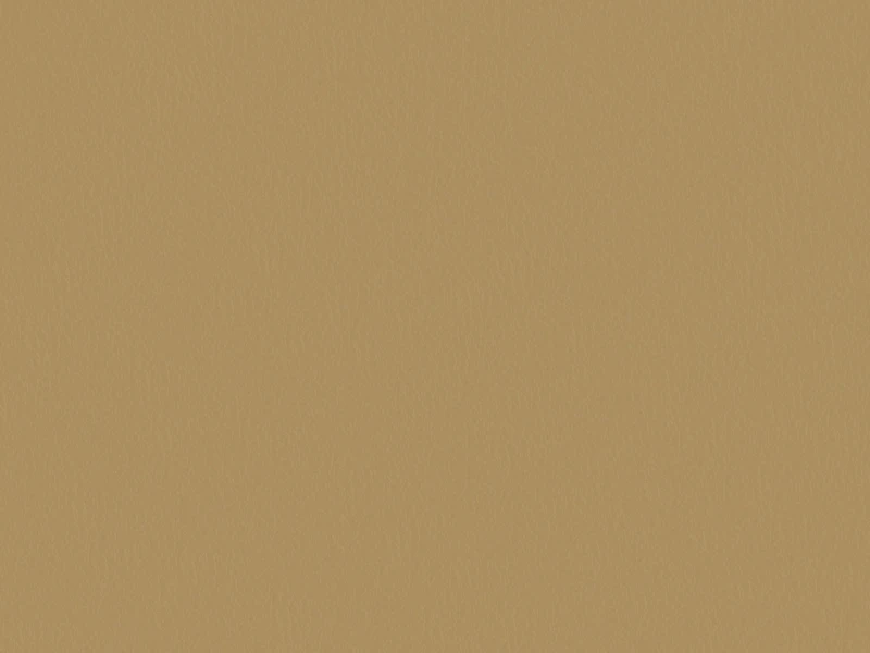 6d01cfbfb919db9d5a9fdc6a0bfa0eb8