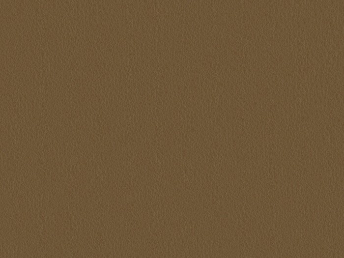 ca5f0dcc2981d01d7b9f2299ffc41494