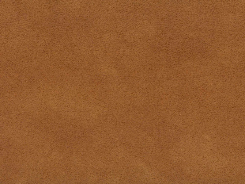 c4e039b832260d2555311c42a558e279