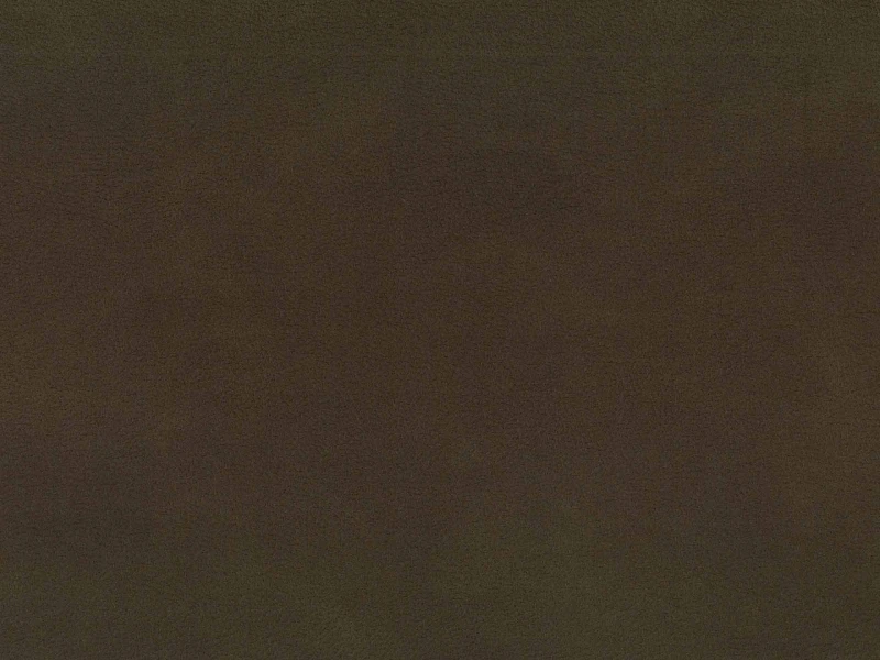 4304e367015e59fbfe331c46e6ffc62f