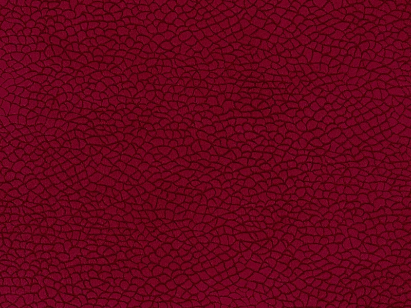 c8bccb85e2136f6e89d47127df1e97e2