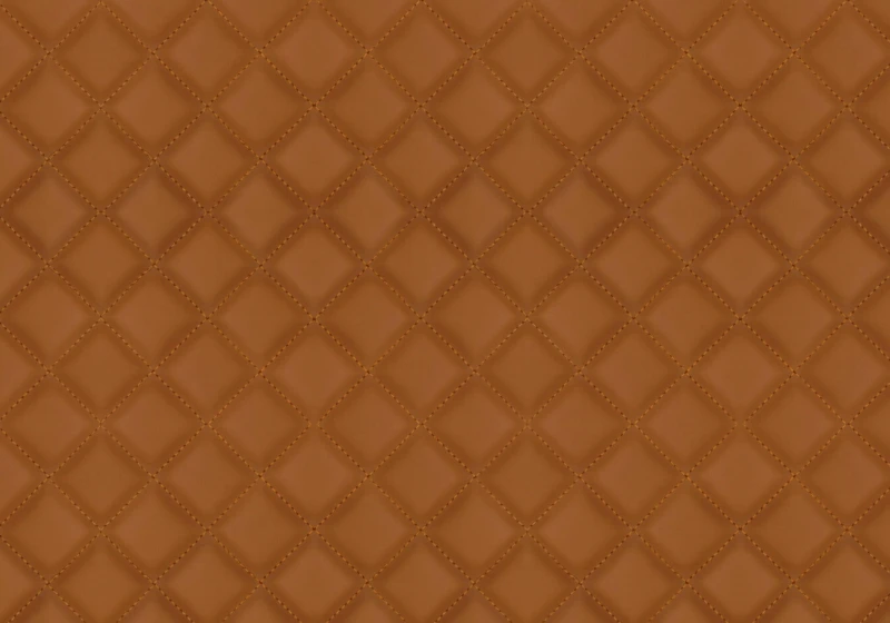 dba8f3ff8457fffd3751e1c916a10ab2