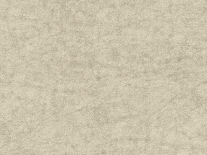 43e4d46b19df8ab25426cc14f6a256b4