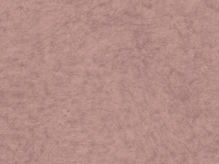c753acd0ebff6ede29e260810c4c772d