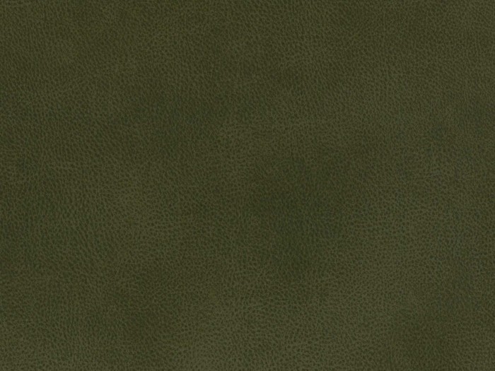 ca98761e8f4f933d74c8e14b40a445ed