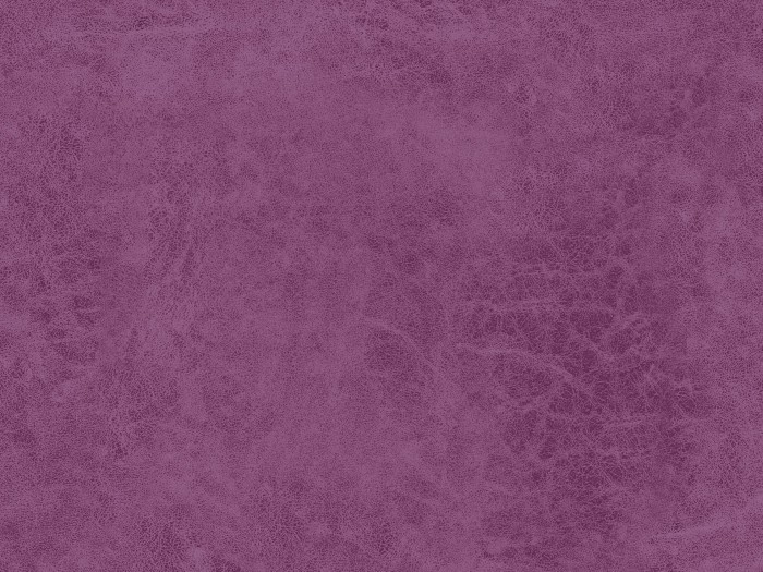 5c4992d7b160435d4a578142b4fb957d