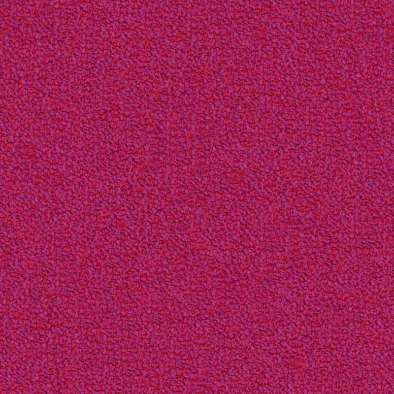 79efe394f246522adbba9eff3e83a558