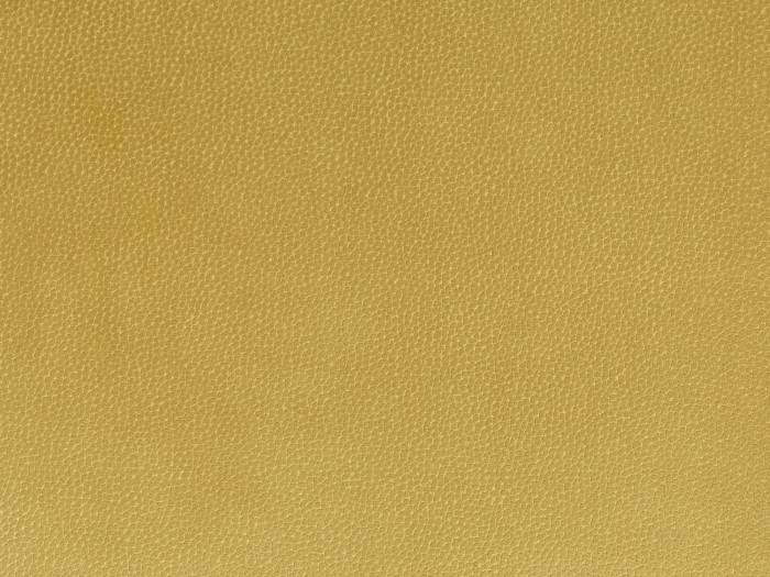 b6b35822a0586469f855f9316814d80e