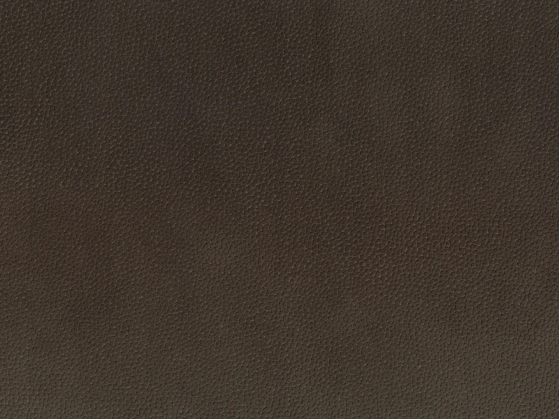 cc54fa47aaf7fd66b15344e56b65eecf
