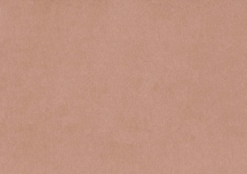451e9b137e58e2199d13ad1550a7b849