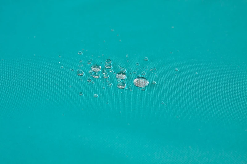 12919.jpg