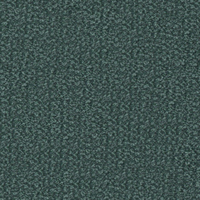 e939e82dffa3fd0360fe335305898685