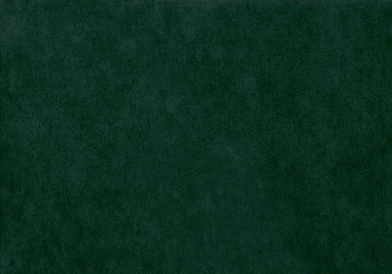 5434719e8d580b6d59b43f22d99555a1