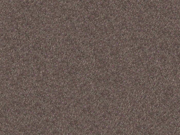 6ba420607852696275176c9f4d9d539c