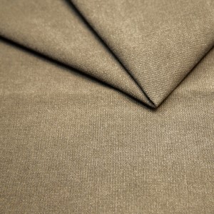 cottacamel.jpg