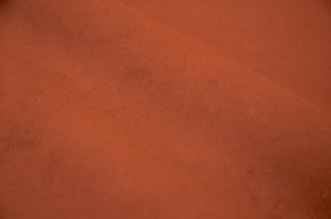 alcantaraorangetan.jpg