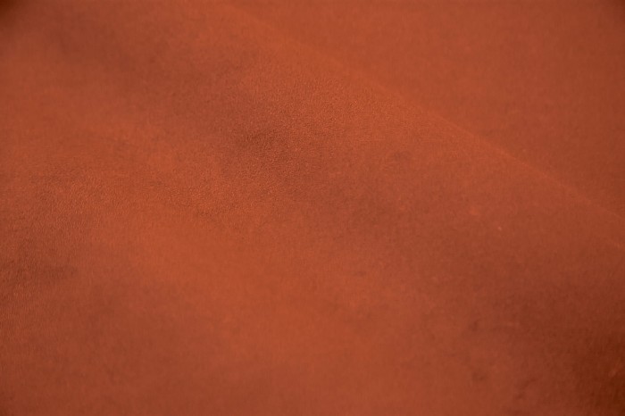 alcantaraorangetan.jpg