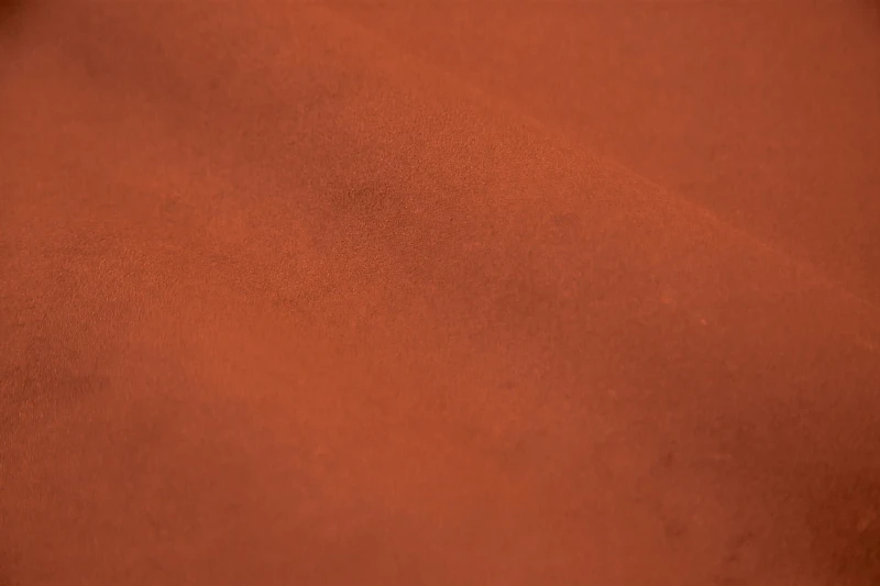 alcantaraorangetan.jpg