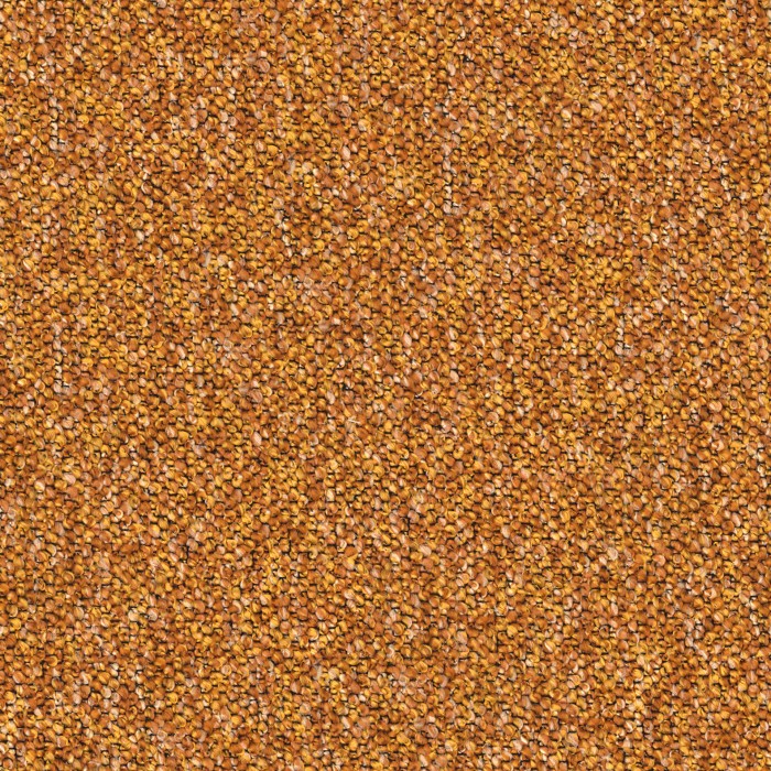 GRANOVA51.jpg