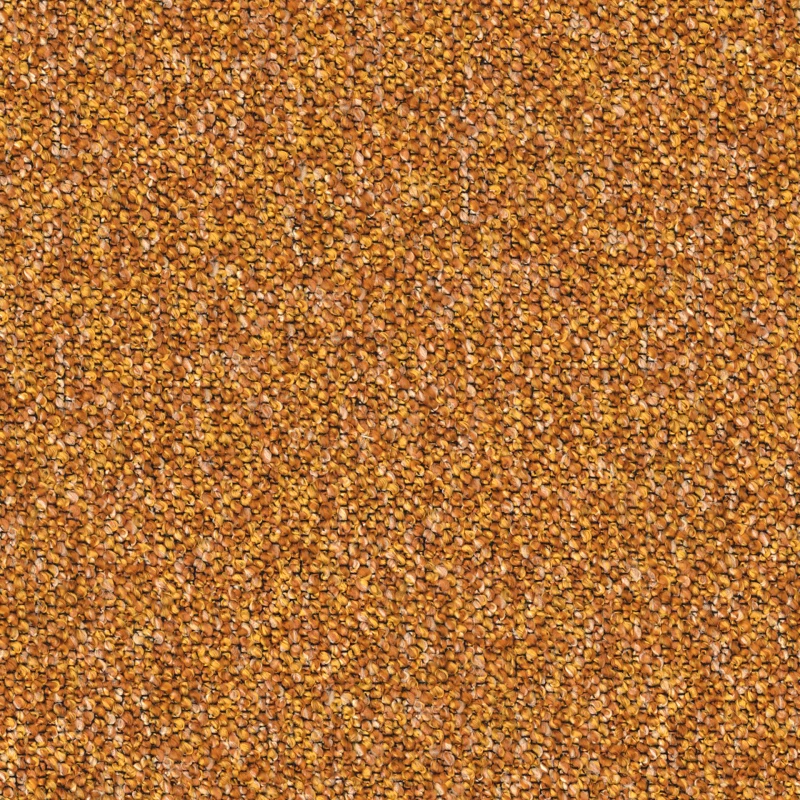 GRANOVA51.jpg