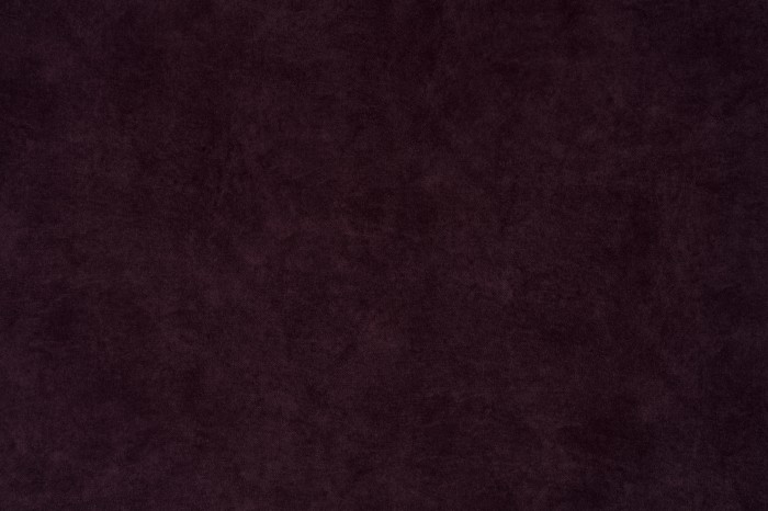 Zoya_04.jpg