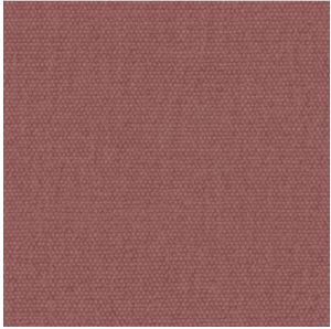 RASPBERRY.png