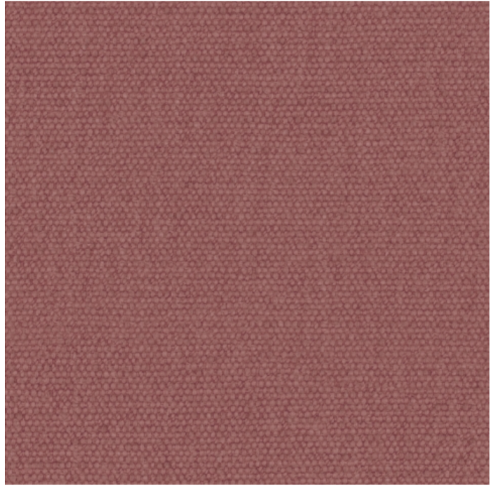 RASPBERRY.png
