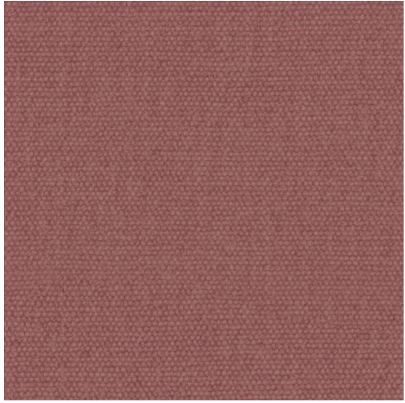 RASPBERRY.png