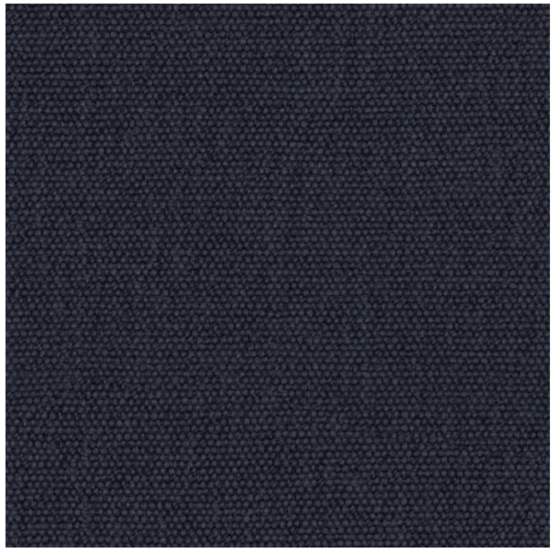 INDIGO.png