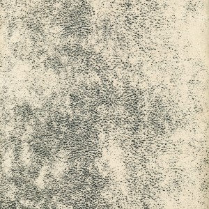 28482.jpg