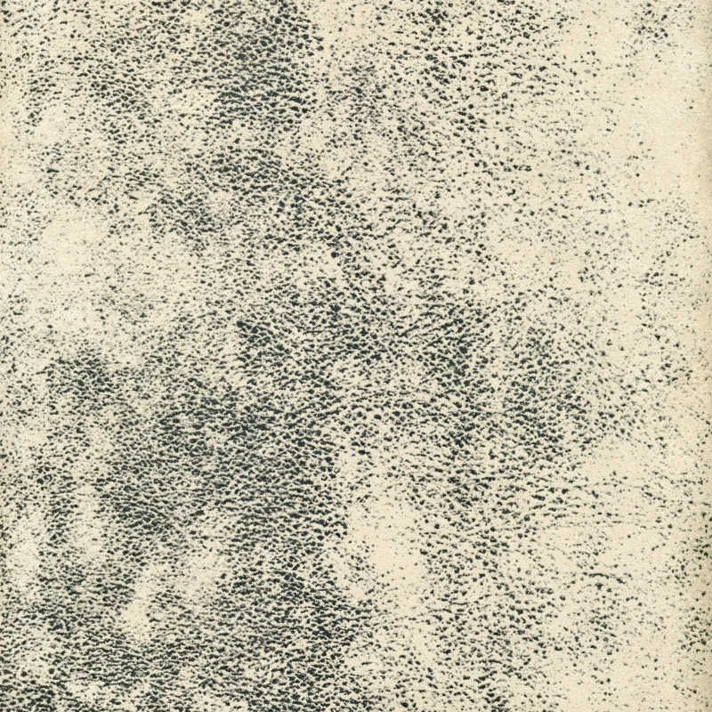 28482.jpg