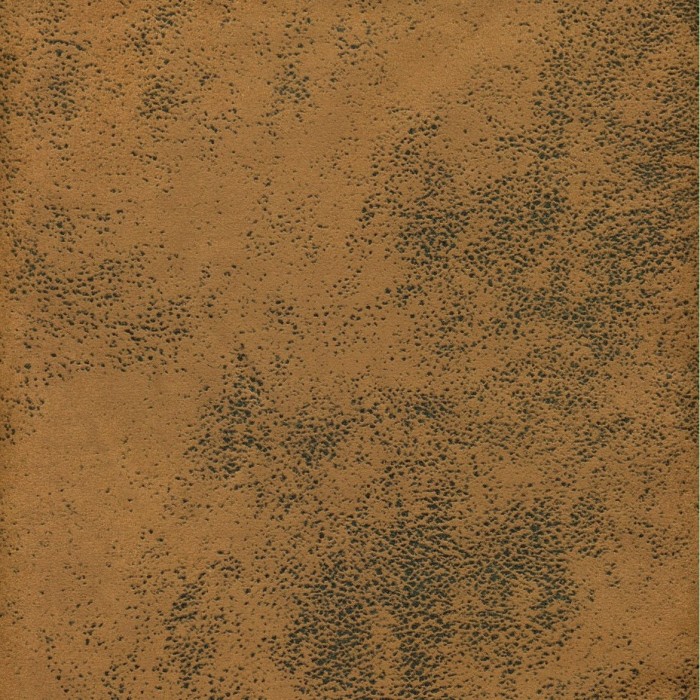 28808.jpg