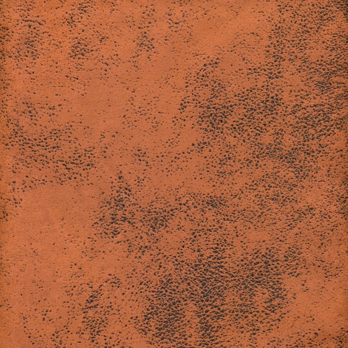 28807.jpg