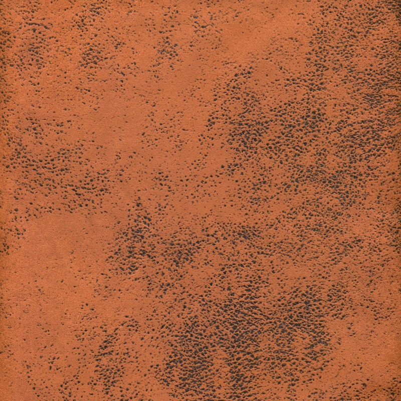28807.jpg