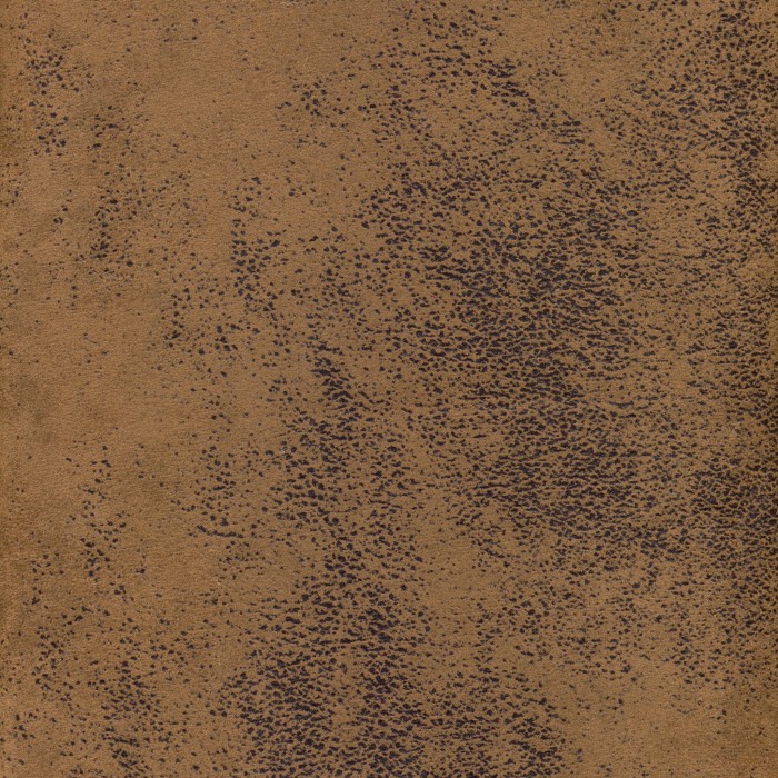 28806.jpg