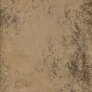 28805.jpg