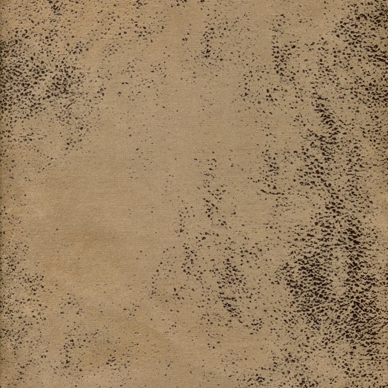 28805.jpg