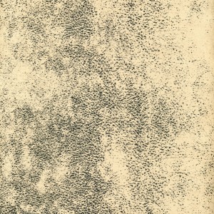 28804.jpg