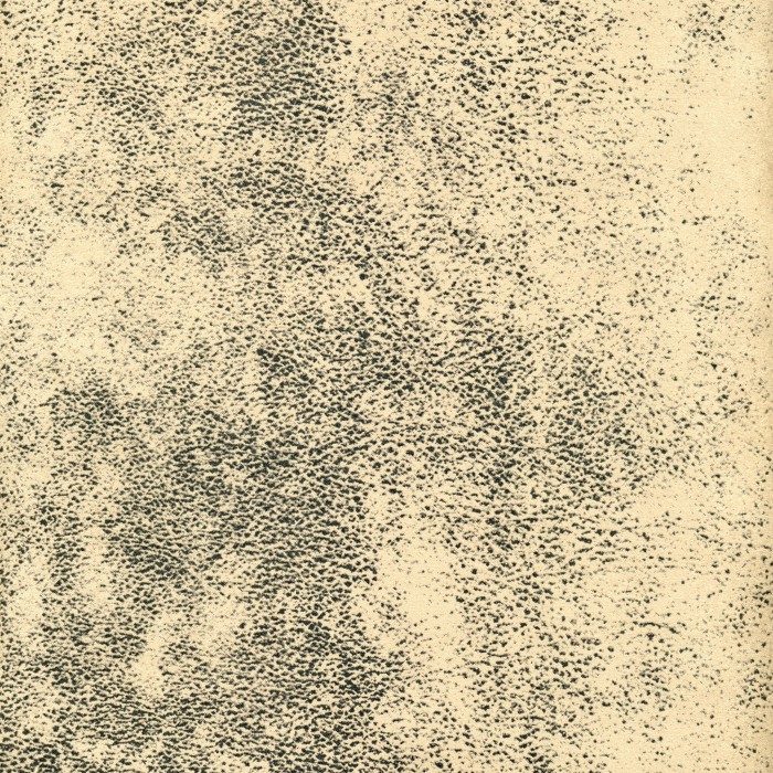 28804.jpg
