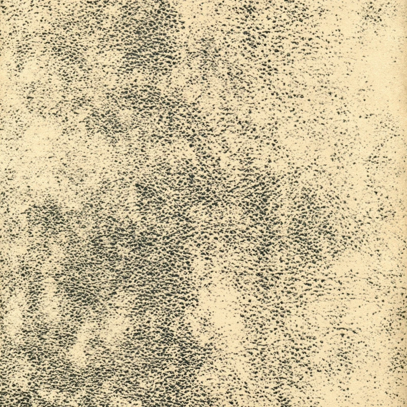28804.jpg