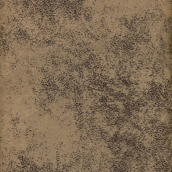 28802.jpg